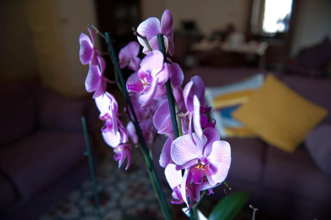 Ivana B&B Catania Eksteriør bilde